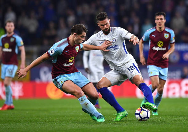 花园球馆展 花园球馆展